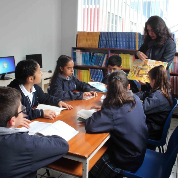 Ensenanza-Colegio-Champagnat Ensenanza-Colegio-Champagnat